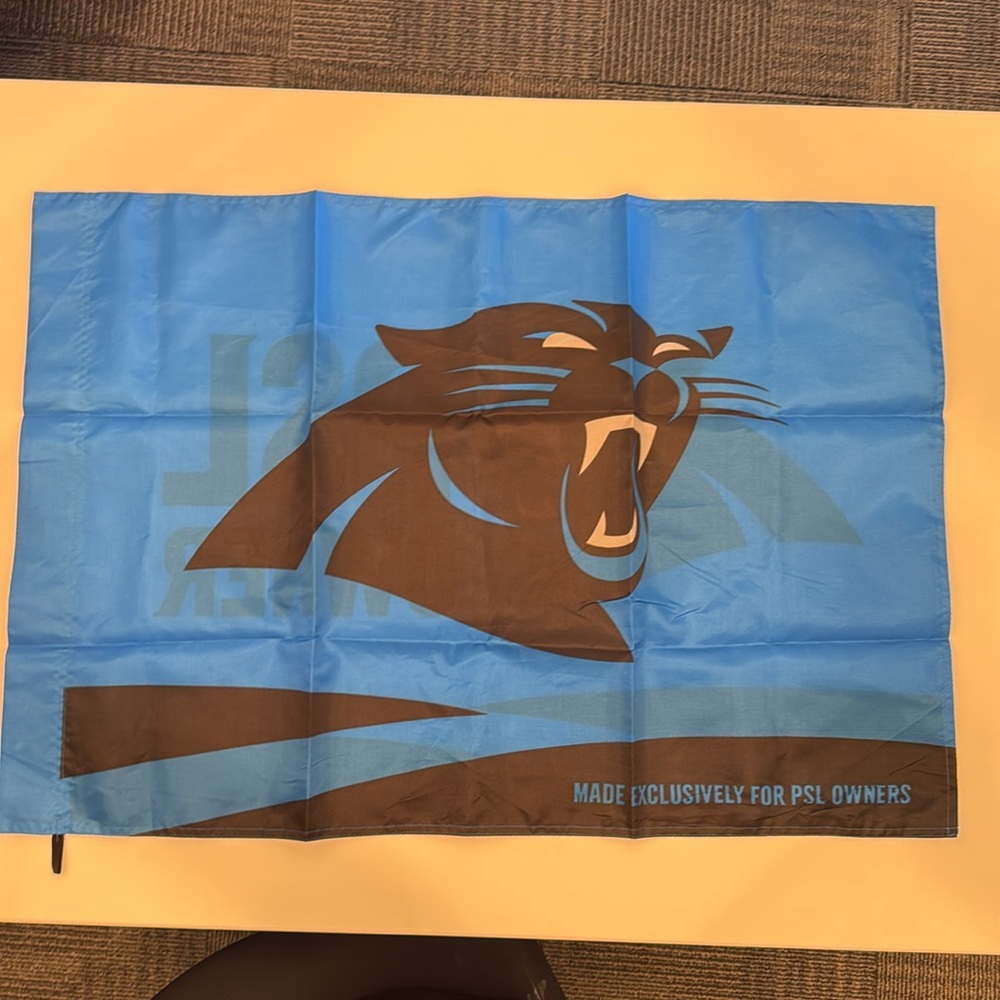 Carolina Panthers NFL Flag, 35” x 24”